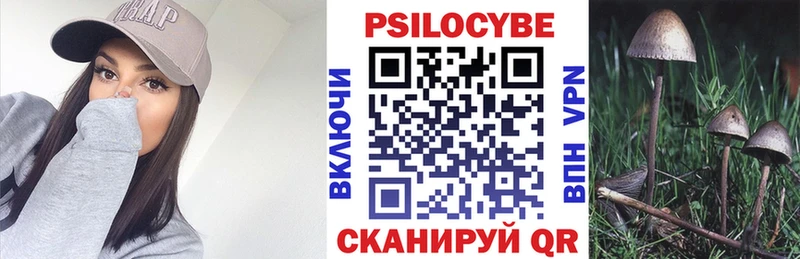 Галлюциногенные грибы мицелий где купить наркоту Горнозаводск